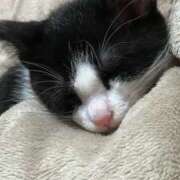 ヒメ日記 2025/04/17 16:06 投稿 える★超絶スレンダーS級美女 BEPPIN SELECTION ～べっぴんセレクション～