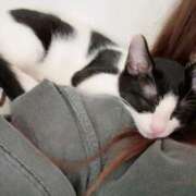 ヒメ日記 2025/04/27 06:09 投稿 える★超絶スレンダーS級美女 BEPPIN SELECTION ～べっぴんセレクション～