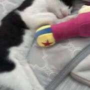 ヒメ日記 2025/04/30 05:23 投稿 える★超絶スレンダーS級美女 BEPPIN SELECTION ～べっぴんセレクション～