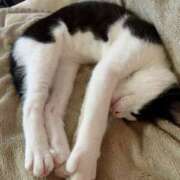 ヒメ日記 2025/05/01 05:25 投稿 える★超絶スレンダーS級美女 BEPPIN SELECTION ～べっぴんセレクション～