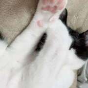 ヒメ日記 2025/05/02 19:15 投稿 える★超絶スレンダーS級美女 BEPPIN SELECTION ～べっぴんセレクション～