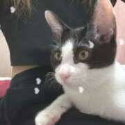 ヒメ日記 2025/05/04 04:40 投稿 える★超絶スレンダーS級美女 BEPPIN SELECTION ～べっぴんセレクション～