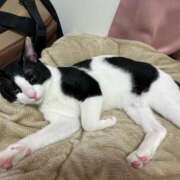 ヒメ日記 2025/05/05 04:30 投稿 える★超絶スレンダーS級美女 BEPPIN SELECTION ～べっぴんセレクション～