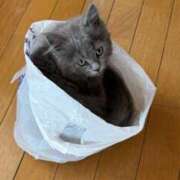 ヒメ日記 2025/05/06 05:20 投稿 える★超絶スレンダーS級美女 BEPPIN SELECTION ～べっぴんセレクション～