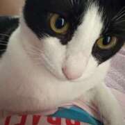 ヒメ日記 2025/05/15 04:54 投稿 える★超絶スレンダーS級美女 BEPPIN SELECTION ～べっぴんセレクション～