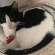 ヒメ日記 2025/05/19 07:10 投稿 える★超絶スレンダーS級美女 BEPPIN SELECTION ～べっぴんセレクション～