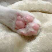 ヒメ日記 2025/05/20 04:41 投稿 える★超絶スレンダーS級美女 BEPPIN SELECTION ～べっぴんセレクション～