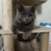 ヒメ日記 2025/05/27 05:26 投稿 える★超絶スレンダーS級美女 BEPPIN SELECTION ～べっぴんセレクション～