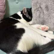 ヒメ日記 2025/06/01 06:20 投稿 える★超絶スレンダーS級美女 BEPPIN SELECTION ～べっぴんセレクション～