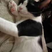 ヒメ日記 2025/06/02 05:15 投稿 える★超絶スレンダーS級美女 BEPPIN SELECTION ～べっぴんセレクション～