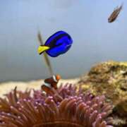 ヒメ日記 2025/06/03 06:43 投稿 える★超絶スレンダーS級美女 BEPPIN SELECTION ～べっぴんセレクション～