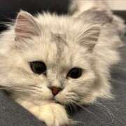 ヒメ日記 2025/06/05 04:43 投稿 える★超絶スレンダーS級美女 BEPPIN SELECTION ～べっぴんセレクション～