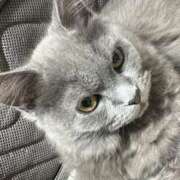 ヒメ日記 2025/06/17 04:41 投稿 える★超絶スレンダーS級美女 BEPPIN SELECTION ～べっぴんセレクション～