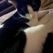 ヒメ日記 2025/07/02 06:10 投稿 える★超絶スレンダーS級美女 BEPPIN SELECTION ～べっぴんセレクション～