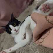 ヒメ日記 2025/07/07 04:32 投稿 える★超絶スレンダーS級美女 BEPPIN SELECTION ～べっぴんセレクション～