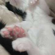 ヒメ日記 2025/07/13 15:25 投稿 える★超絶スレンダーS級美女 BEPPIN SELECTION ～べっぴんセレクション～