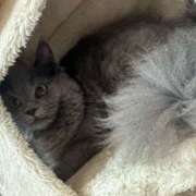 ヒメ日記 2025/07/20 06:12 投稿 える★超絶スレンダーS級美女 BEPPIN SELECTION ～べっぴんセレクション～