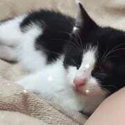 ヒメ日記 2025/07/22 07:52 投稿 える★超絶スレンダーS級美女 BEPPIN SELECTION ～べっぴんセレクション～