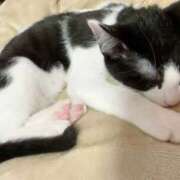 ヒメ日記 2025/07/23 17:36 投稿 える★超絶スレンダーS級美女 BEPPIN SELECTION ～べっぴんセレクション～