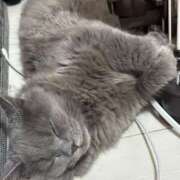 ヒメ日記 2025/07/27 06:23 投稿 える★超絶スレンダーS級美女 BEPPIN SELECTION ～べっぴんセレクション～