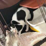 ヒメ日記 2025/07/31 07:31 投稿 える★超絶スレンダーS級美女 BEPPIN SELECTION ～べっぴんセレクション～