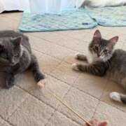 ヒメ日記 2025/08/07 07:05 投稿 える★超絶スレンダーS級美女 BEPPIN SELECTION ～べっぴんセレクション～