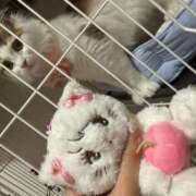 ヒメ日記 2025/08/17 06:33 投稿 える★超絶スレンダーS級美女 BEPPIN SELECTION ～べっぴんセレクション～