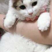 ヒメ日記 2025/08/19 04:22 投稿 える★超絶スレンダーS級美女 BEPPIN SELECTION ～べっぴんセレクション～