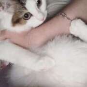 ヒメ日記 2025/08/31 06:22 投稿 える★超絶スレンダーS級美女 BEPPIN SELECTION ～べっぴんセレクション～