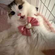 ヒメ日記 2025/09/20 06:36 投稿 える★超絶スレンダーS級美女 BEPPIN SELECTION ～べっぴんセレクション～