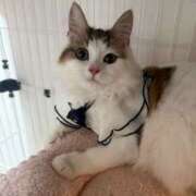 える★超絶スレンダーS級美女 退勤✨ BEPPIN SELECTION ~べっぴんセレクション~