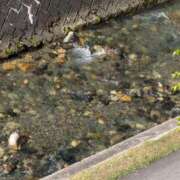 ヒメ日記 2024/12/28 17:25 投稿 ここむ☆極上美少女可愛い清楚潮吹 PREMIUM萌え可愛いチョコレート～全てのステージで感動の体験を～