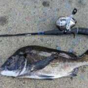 ヒメ日記 2025/08/08 10:54 投稿 ゆみ ラグーン豊橋