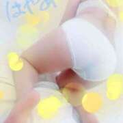 ヒメ日記 2024/12/16 06:00 投稿 はやめ 世界のあんぷり亭 新宿総本店