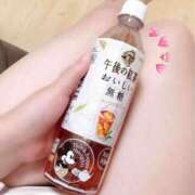 ヒメ日記 2025/03/13 12:01 投稿 はやめ 世界のあんぷり亭 新宿総本店