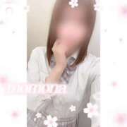 ヒメ日記 2025/04/14 20:16 投稿 ももな 土浦ビデオdeはんど