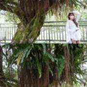 ヒメ日記 2025/11/19 12:06 投稿 れもん マリン宇都宮店