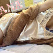 ヒメ日記 2025/12/28 21:26 投稿 さな TSUBAKI(つばき)土浦店