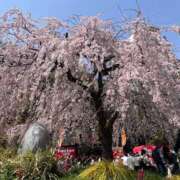 ヒメ日記 2025/03/27 12:48 投稿 みく ニューヨークニューヨーク