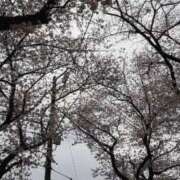 ヒメ日記 2025/04/14 09:20 投稿 小松 熟女の風俗最終章　鶯谷店