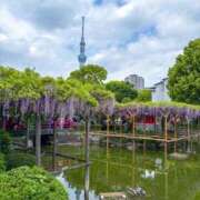 ヒメ日記 2025/04/27 23:06 投稿 小松 熟女の風俗最終章　鶯谷店