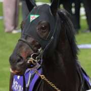 ヒメ日記 2025/05/04 16:46 投稿 小松 熟女の風俗最終章　鶯谷店