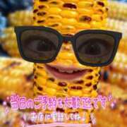 ヒメ日記 2025/09/01 18:06 投稿 小松 熟女の風俗最終章　鶯谷店