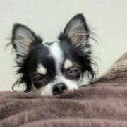 ヒメ日記 2025/09/16 07:06 投稿 小松 熟女の風俗最終章　鶯谷店