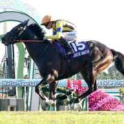 ヒメ日記 2025/11/23 18:26 投稿 小松 熟女の風俗最終章　鶯谷店