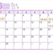 ヒメ日記 2025/05/24 16:25 投稿 ゆり ナチュラルプリンセス