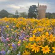 ゆり ♡姫予約LINE♡ ナチュラルプリンセス