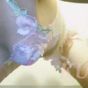 ヒメ日記 2025/09/26 22:13 投稿 くみ Queen Angel(クイーンエンジェル)