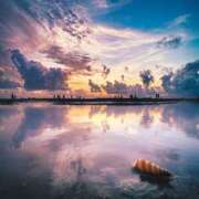 ヒメ日記 2025/02/12 19:10 投稿 りょうか Aroma Olive ～アロマオリーブ～