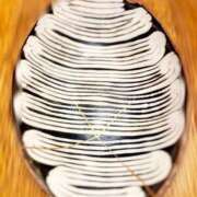 ヒメ日記 2024/12/20 12:08 投稿 ふたば 涼泉（りょうせん）